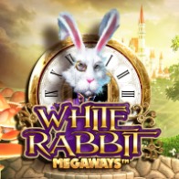 White Rabbit