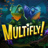 Multifly